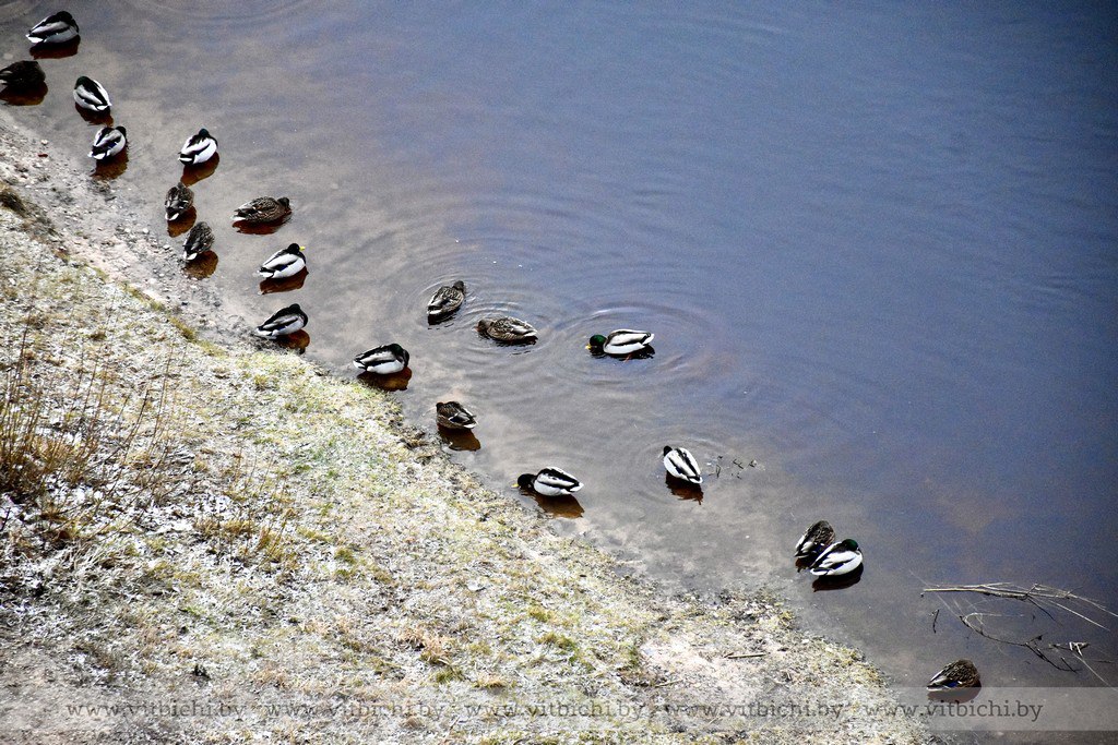 Прогноз погоды на 4 декабря