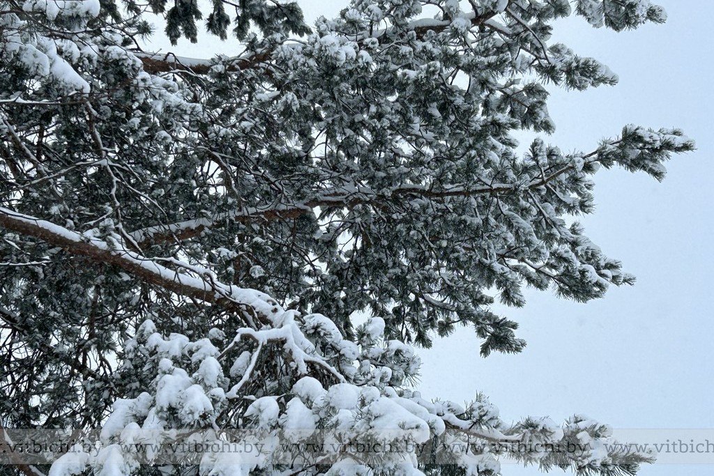 прогноз погоды в Витебске на 26 февраля