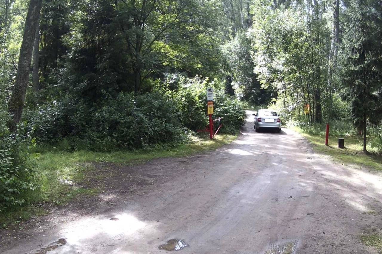 Хотели отдохнуть в лесу, а стали нарушителями