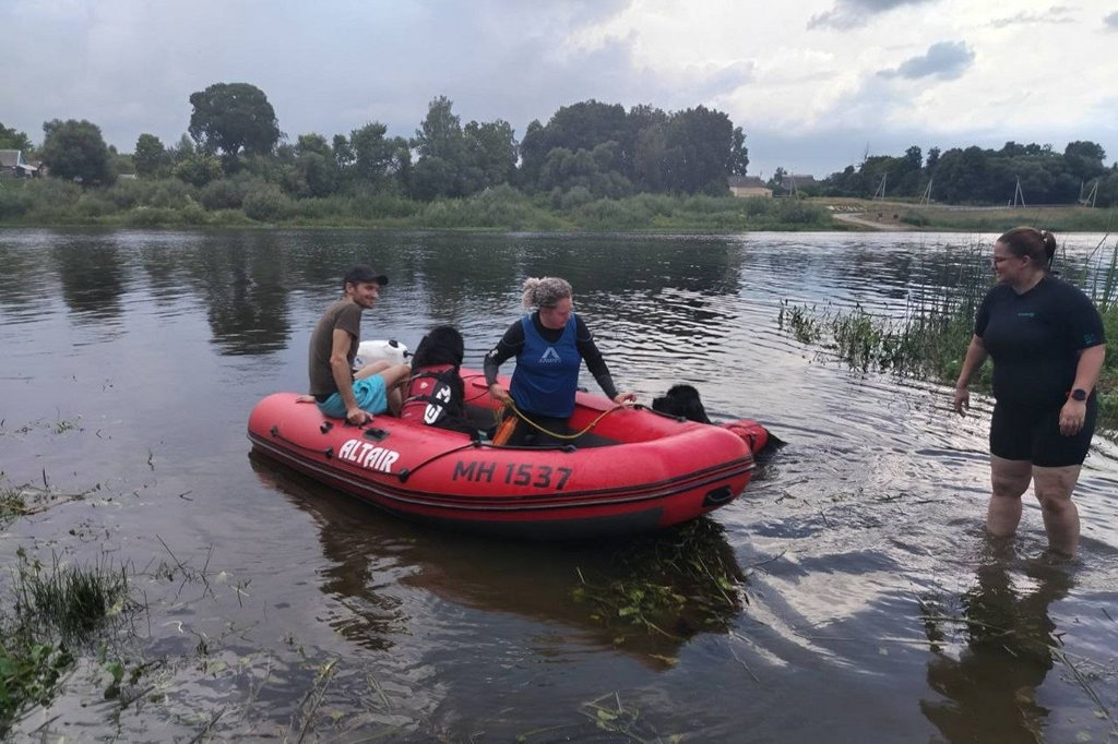 В Сураже собаки-спасатели показали свое мастерство на воде