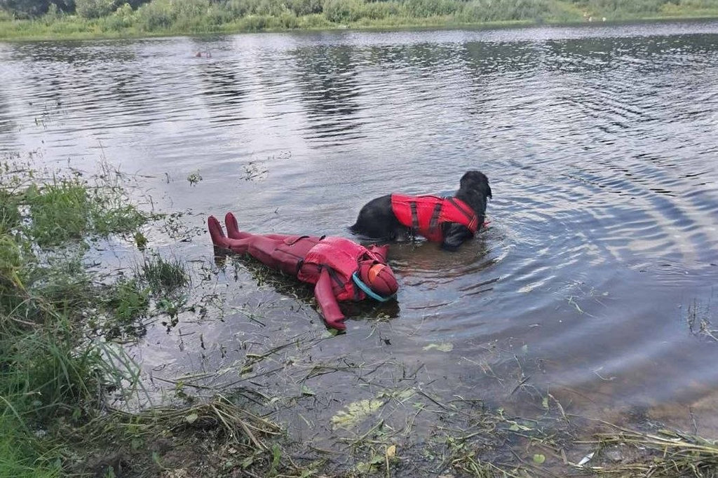 В Сураже собаки-спасатели показали свое мастерство на воде