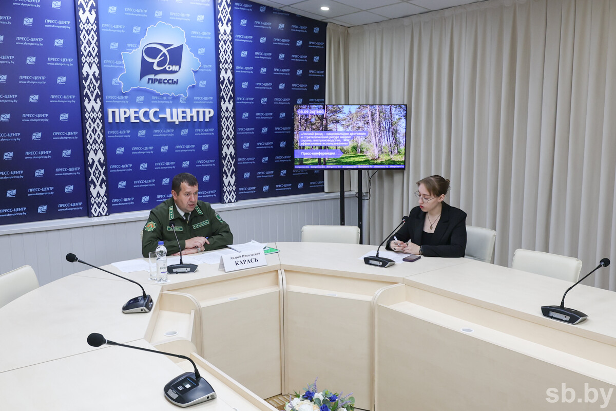 Минлесхоз: с начала пожароопасного сезона в лесах Беларуси зафиксирован 671 пожар