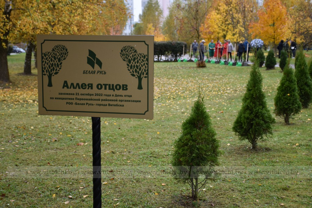 деревья