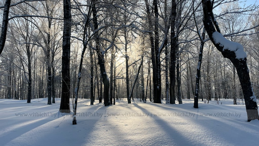 снег и мороз