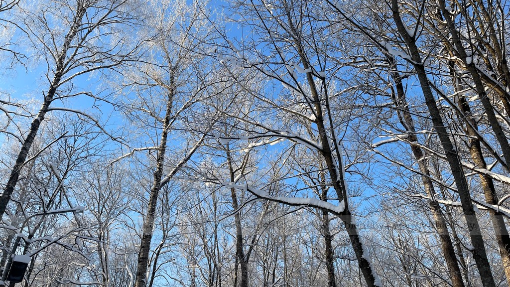 снег и мороз