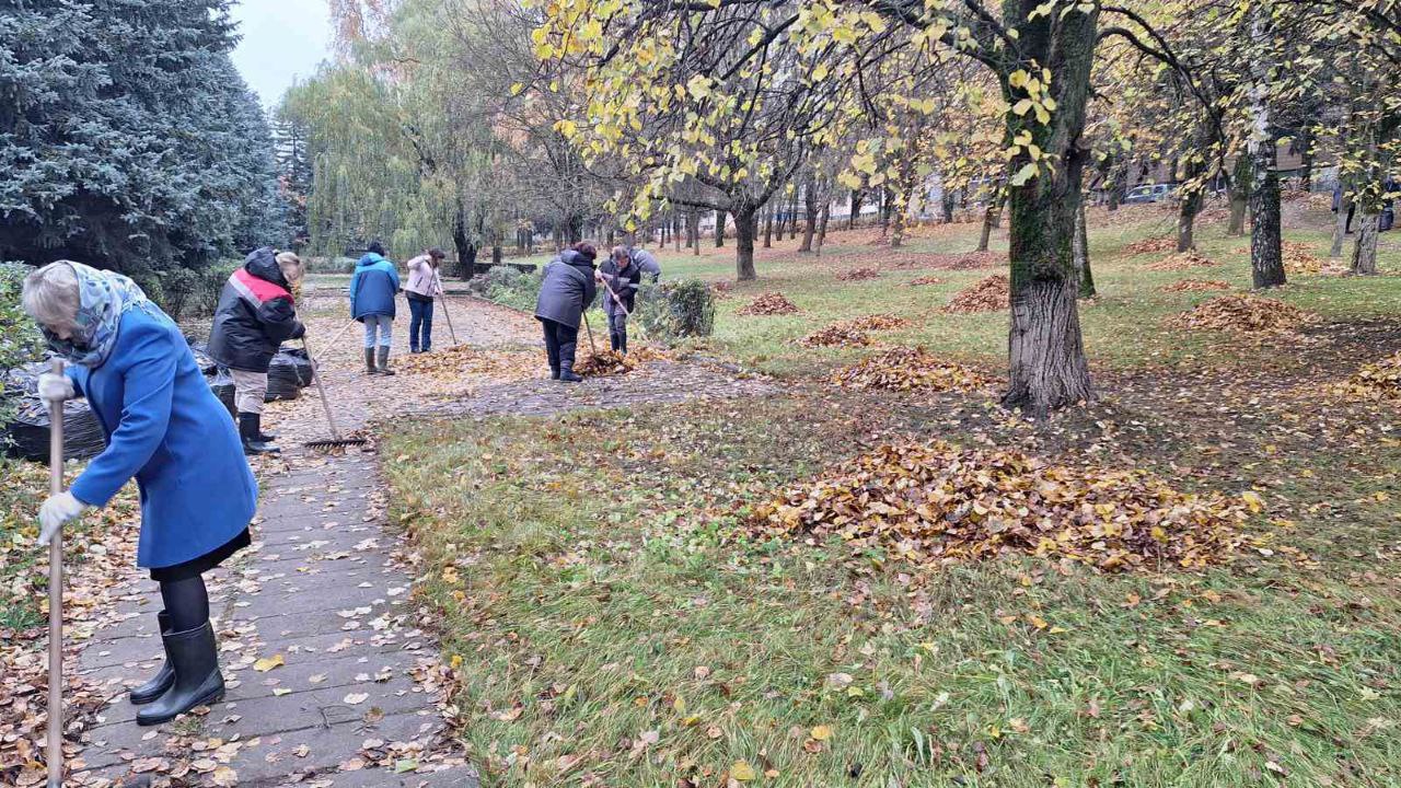 Сотрудники Витебскоблгидромета приняли участие в субботнике уборка листвы