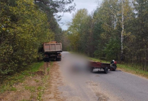 Водитель мотоблока погиб при столкновении с грузовиком в Городокском районе
