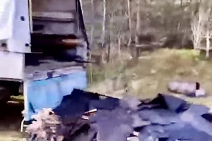 Витебчанин опубликовал в Тіk Tok видео, как мужчина выгружал из ГАЗели строительный мусор в парке Мазурино. Что было дальше?