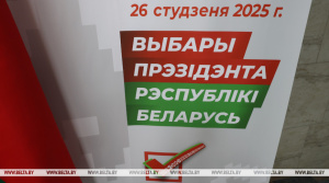 Карпенко напомнил процедуру проверки подписей в поддержку выдвижения кандидатов в Президенты