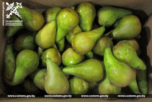 60 тонн груш без документов: витебские и могилевские таможенники выявили нарушения при перевозке фруктов