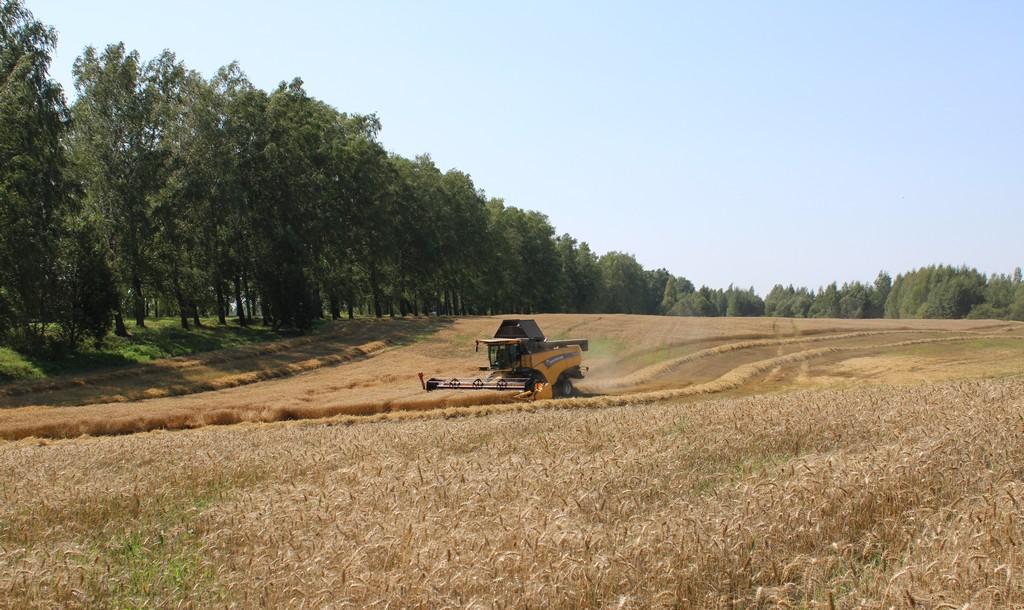 Витебский район на финишной прямой уборки зерновых и зернобобовых культур