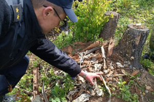 В Сенненском районе поисковики обнаружили фрагменты бомбардировщика Пе-2 и останки летчиков