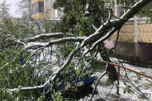 Сотрудники Витебского ГОЧС ликвидируют последствия падения деревьев на проезжую часть и пешеходные участки улиц