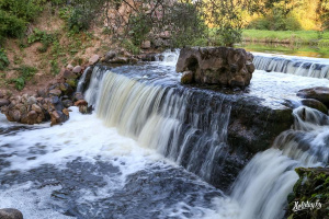 Итоги конкурса проектов гражданских инициатив подвели в Витебске
