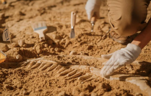 Окаменелости неизвестного науке гигантского динозавра нашли в Испании