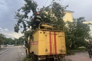 В Витебске в минувшее воскресенье бушевала непогода