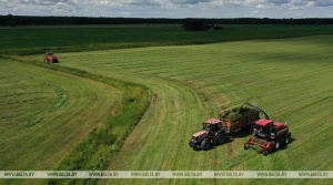 В Беларуси травы первого укоса скошены почти на 64% площадей
