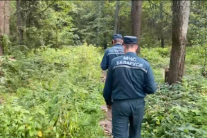 В Витебском районе спасатели помогли выйти из леса заблудившейся пенсионерке