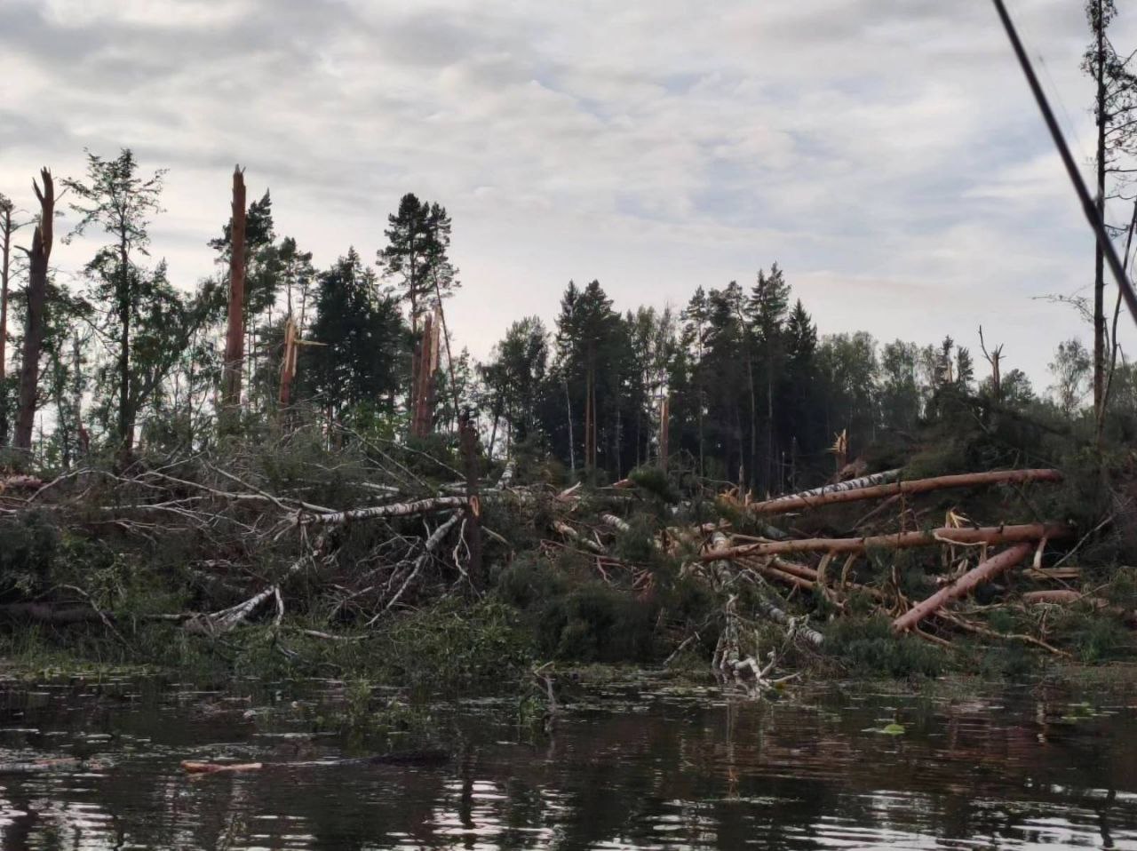 Природная аномалия: за считанные минуты штормовой ветер уничтожил порядка 35 гектаров леса!