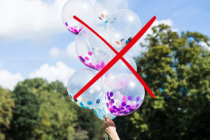 Экологи рекомендуют отказаться от запуска воздушных шаров