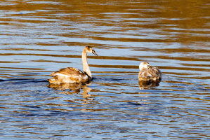 Небольшая облачность и без осадков: прогноз погоды на 13 марта