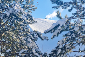 МЧС предупреждает о факторах опасности в сильный мороз