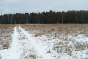 КГК Витебской области: более 800 гектаров неиспользуемых земель занимают земли крестьянских хозяйств
