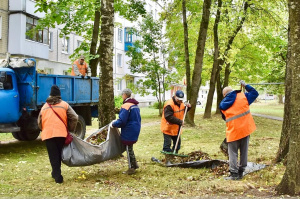 В Витебске с 29 сентября пройдет месячник по санитарной очистке и благоустройству