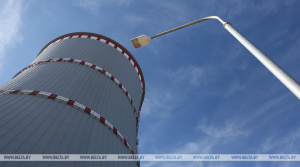 Будет ли в Беларуси вторая АЭС? Вопрос вынесен на совещание у Президента