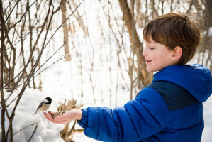 Бёрдвотчинг по-белорусски: где искать вертлявую камышевку и золотистую щурку
