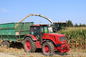 Руководство Витебской области: Агропромышленный комплекс Витебщины сейчас переживает период возрождения