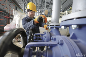 650 рабочих мест и 100 тонн сырья в сутки: в Витебске строят рыбоперерабатывающий завод